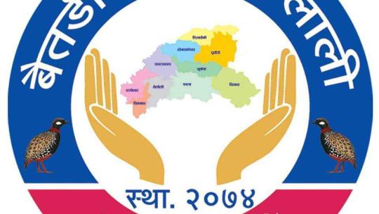 बृहत रक्तदान महोत्सव
