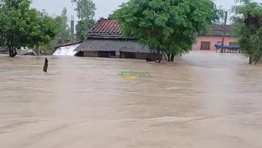 विभागको टोली 