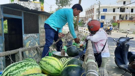  खरबुजा