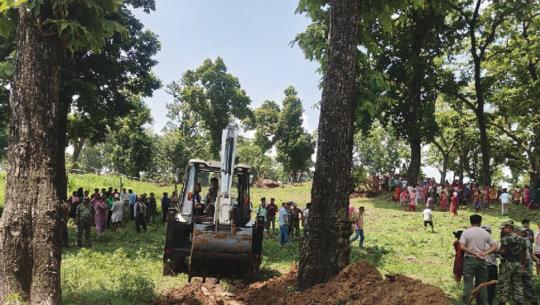 वृक्षारोपण 