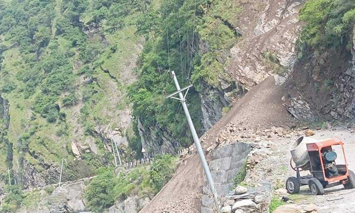 नेपाल विद्युत