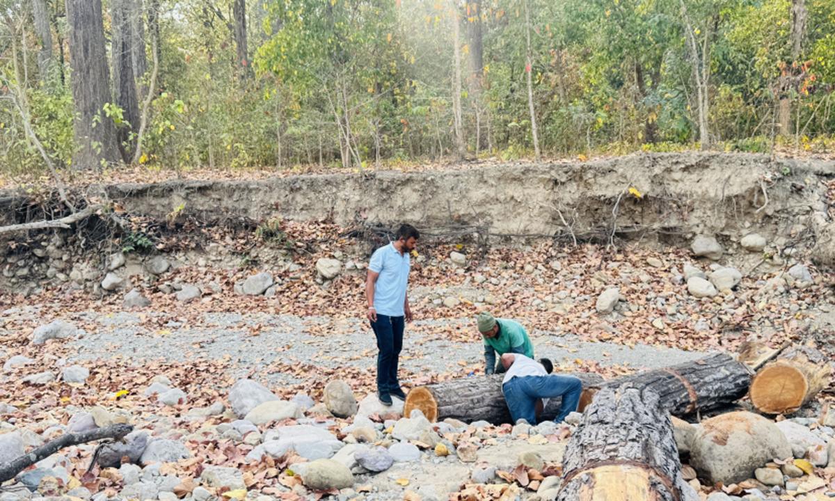 साझेदारी वन