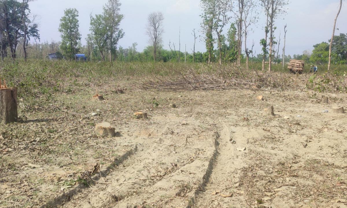 बन्दरगाह निर्माण