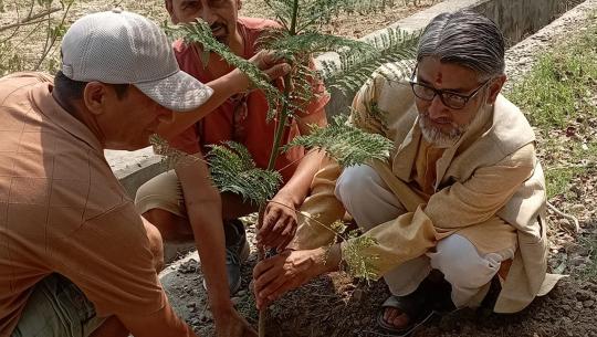 धनगढीलाई हरियो, सफा र सुन्दर