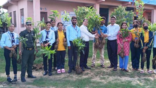 बिरुवा रोप्ने अभियान 