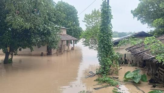  ९९ परिवारका ४४४ जना प्रभावित