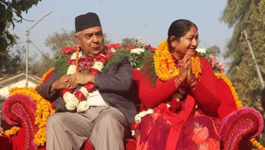 प्राध्यापक डाक्टर पन्त