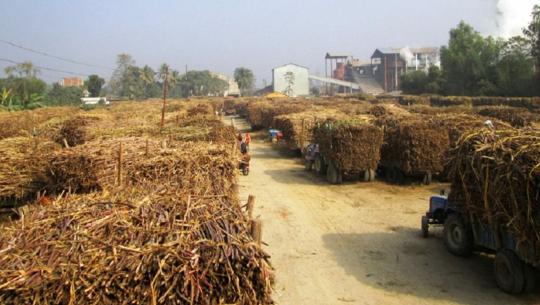 उखु किसान