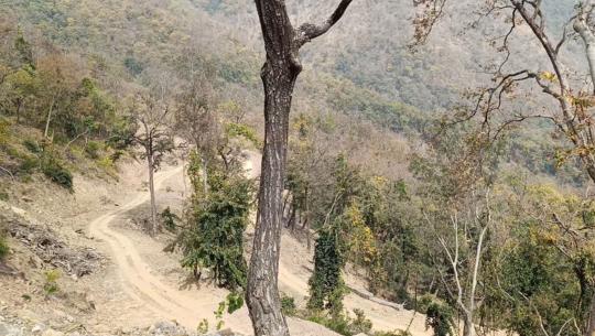 बजेट विनियोजन गर्न लापर्बाही