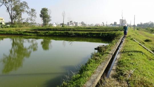  मत्स्य विकास केन्द्र