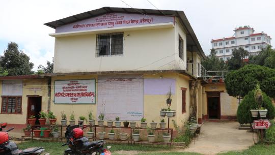 दुध र मासुमा आत्मनिर्भर डडेल्धुरा 