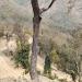 बजेट विनियोजन गर्न लापर्बाही