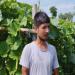 kisan