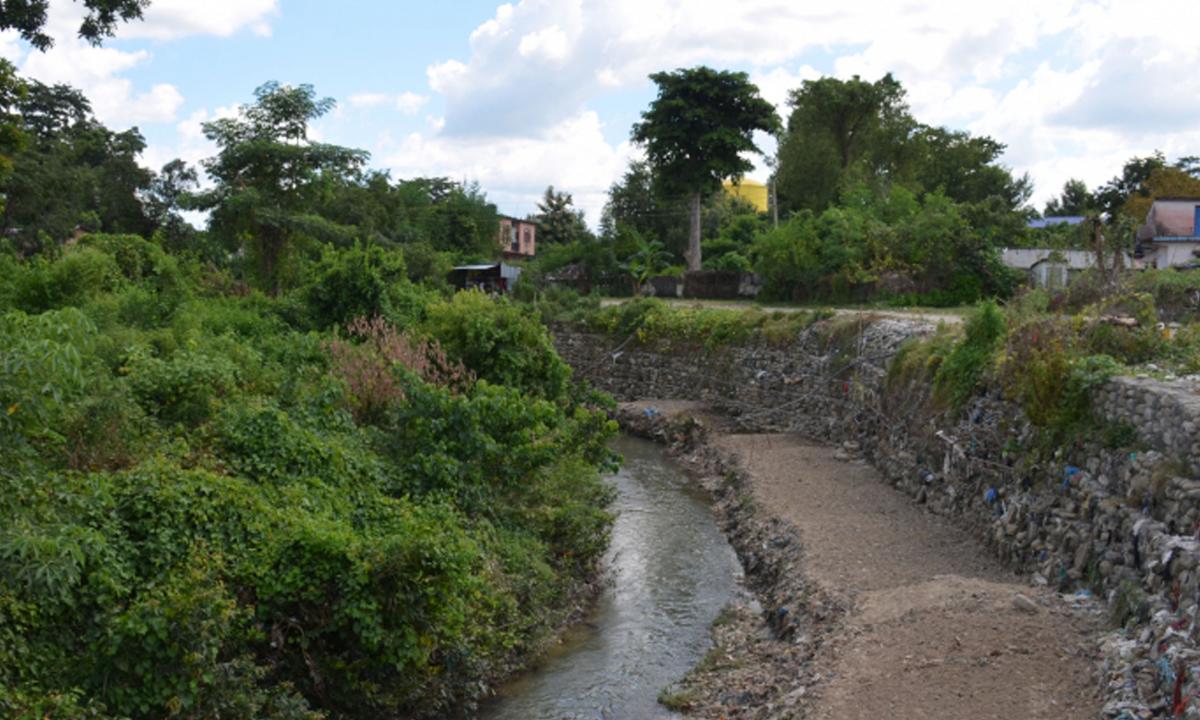 ग्रीनबेल्ट’ 