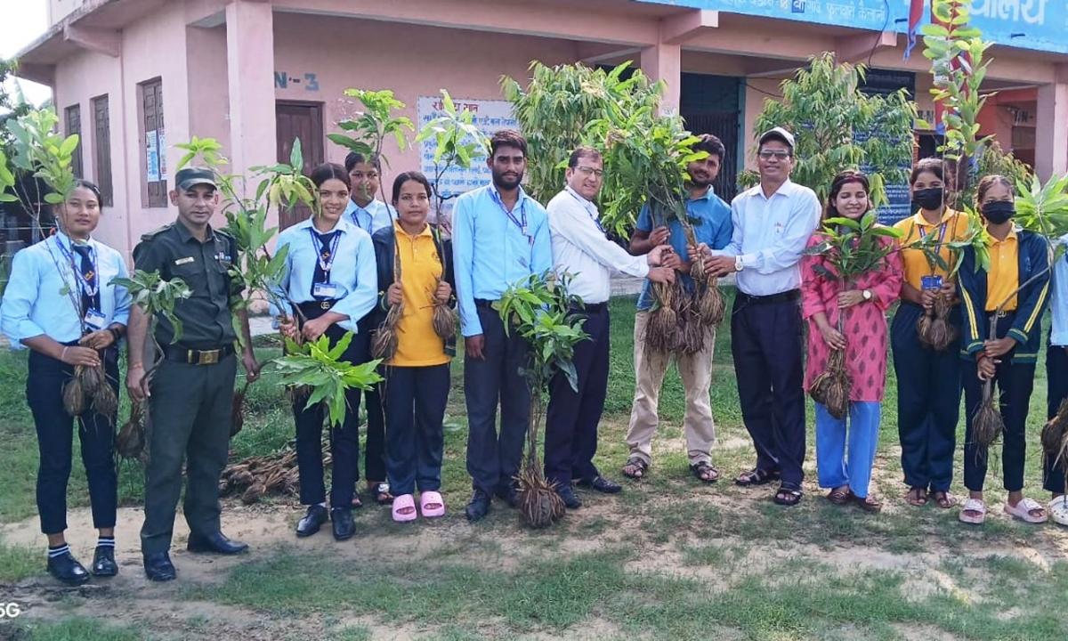 बिरुवा रोप्ने अभियान 