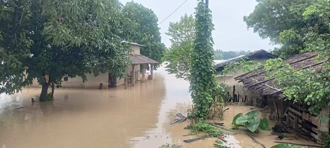  ९९ परिवारका ४४४ जना प्रभावित