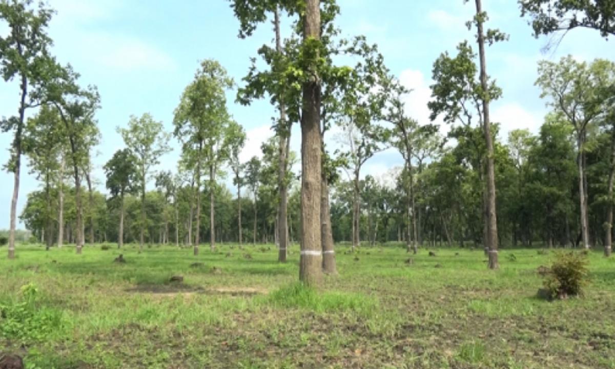  सीपमूलक तालिम 