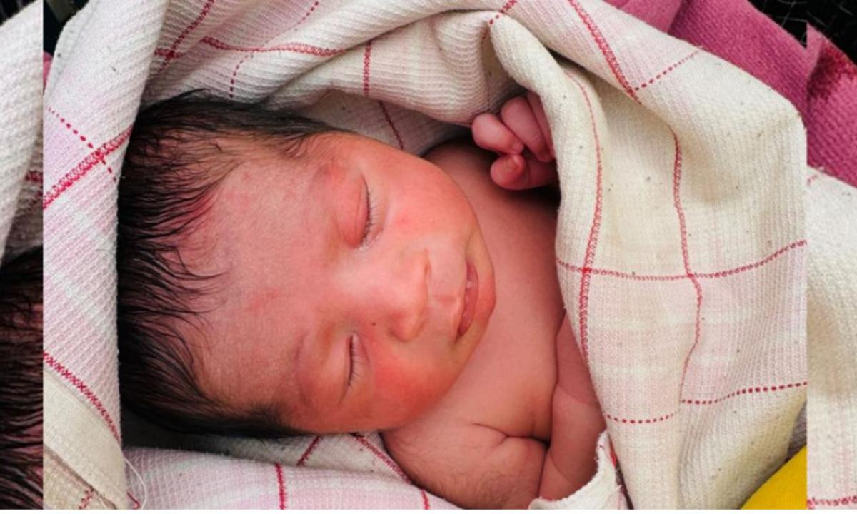 नवजात शिशु
