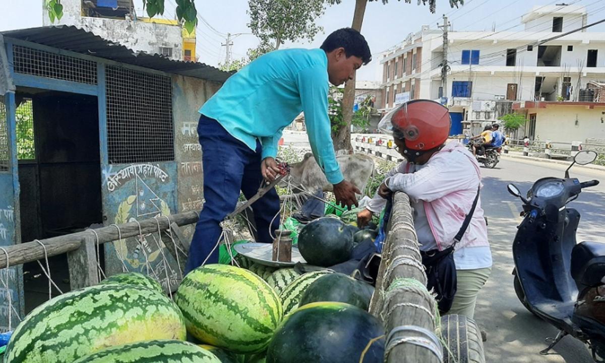  खरबुजा