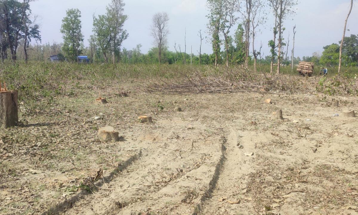 बन्दरगाह निर्माण