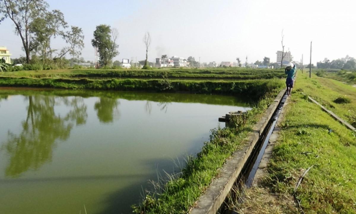  मत्स्य विकास केन्द्र