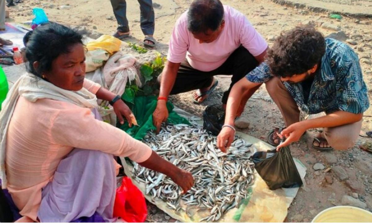 इन्दु राई 