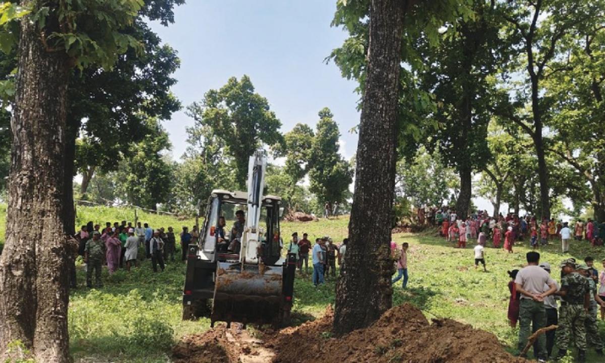 वृक्षारोपण 