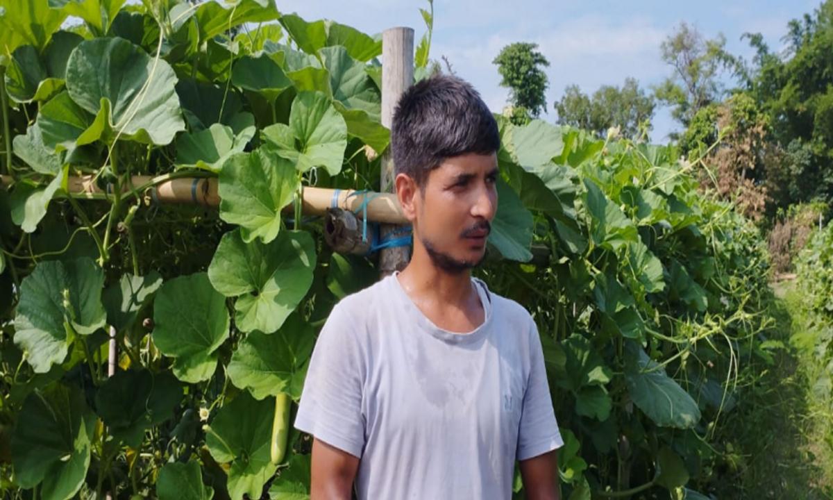 kisan
