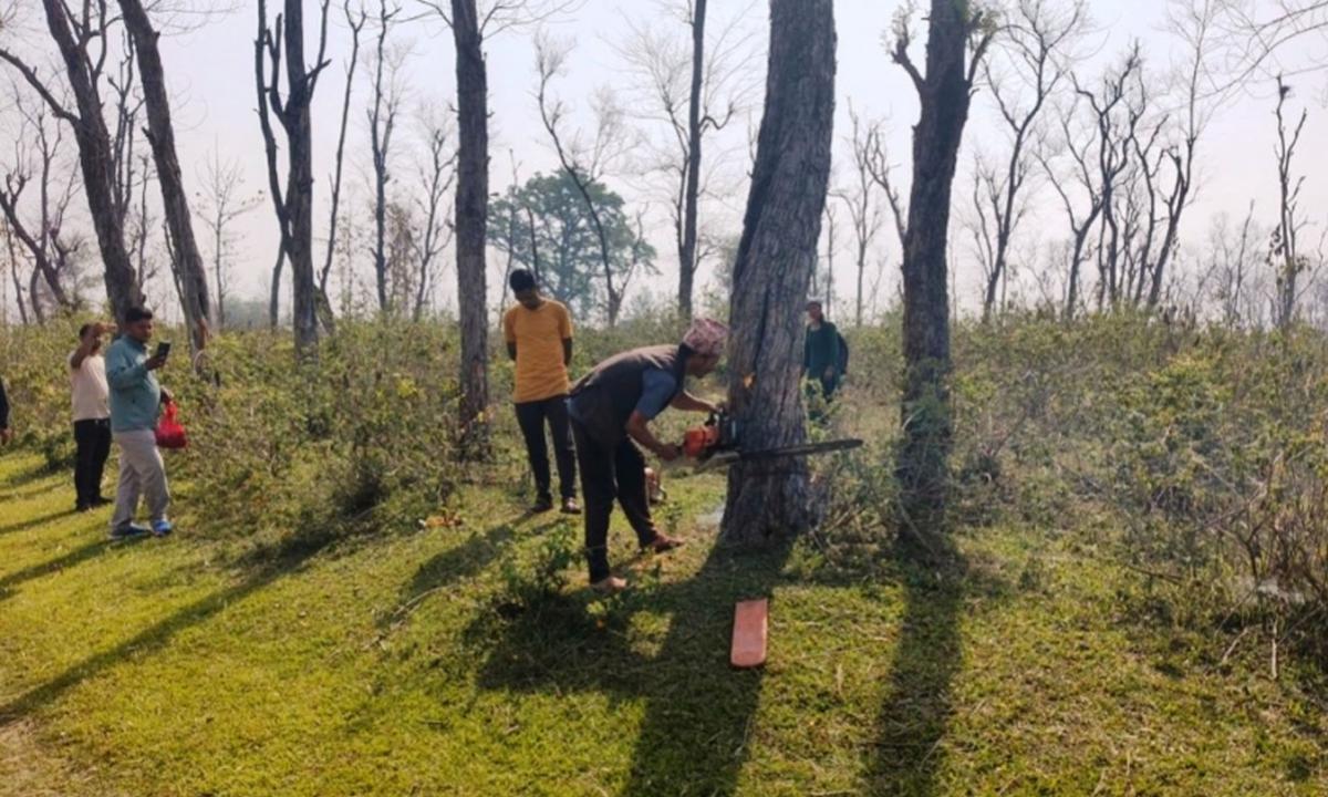 सुक्खा बन्दरगाह निर्माण 