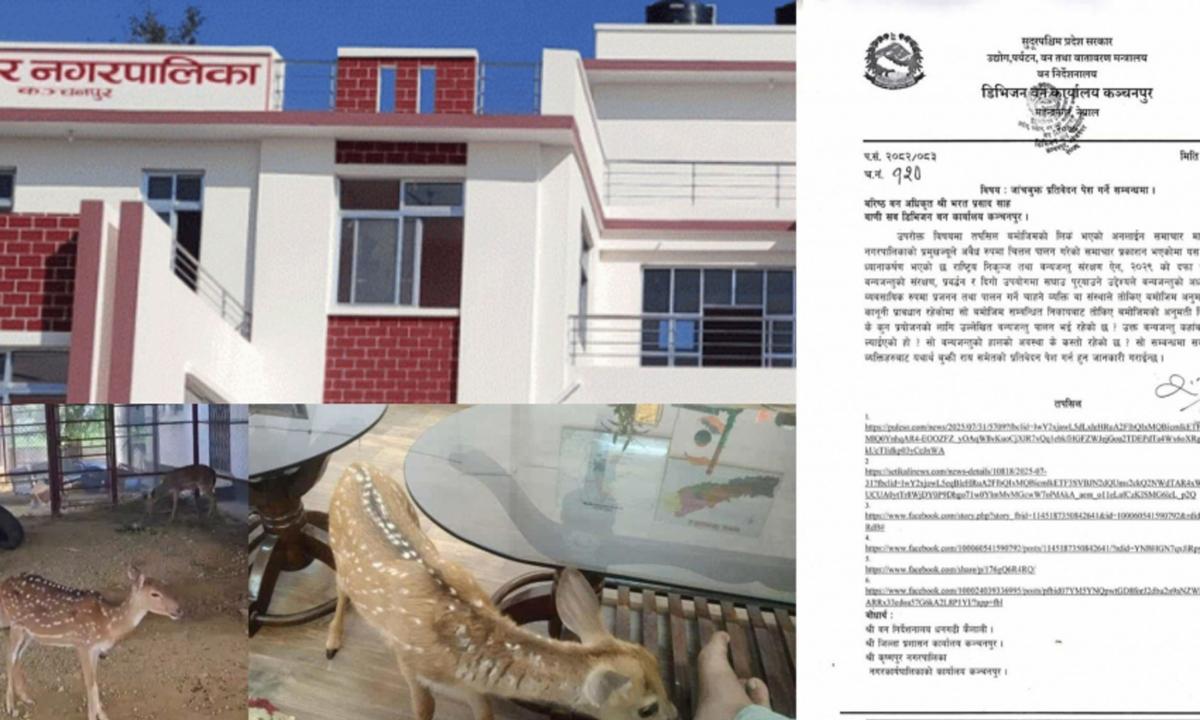 कृष्णपुर नगरपालिका