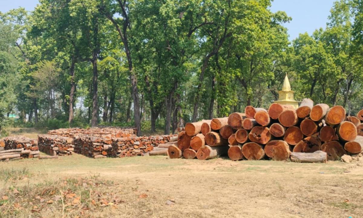  काठ 