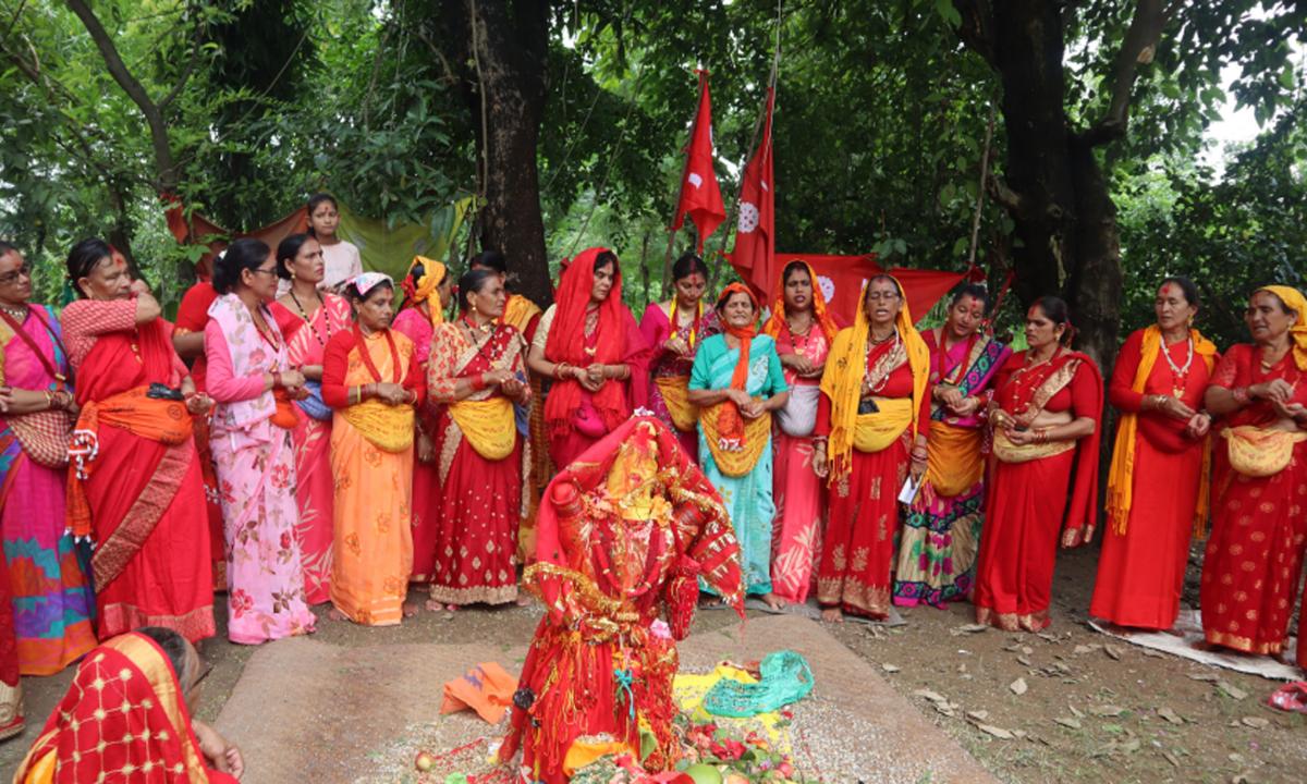 गौरा पर्व