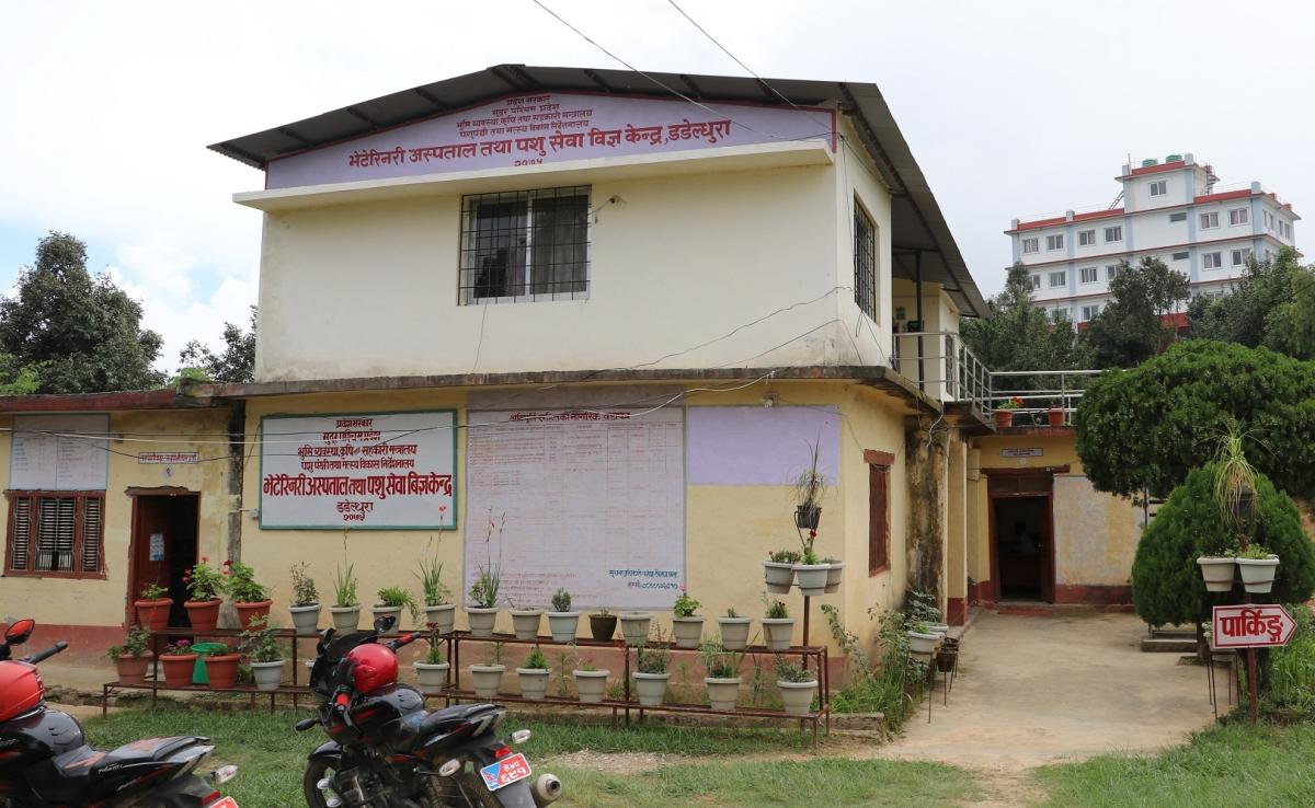 दुध र मासुमा आत्मनिर्भर डडेल्धुरा 